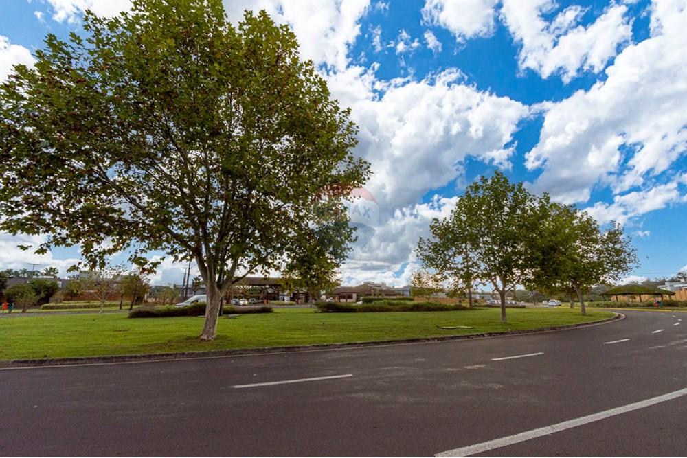 Casa de Condomínio - Venda - Gravataí , Rio Grande do Sul - _DSC2151-Editar.jpg - 610051035-90