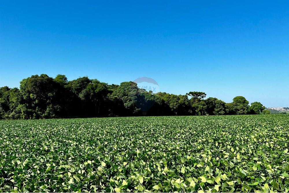 Chácara / Sítio / Fazenda - Venda - Não-Me-Toque , Rio Grande do Sul - WhatsApp Image 2025-01-20 at 20.17.59.jpeg - 610271058-70