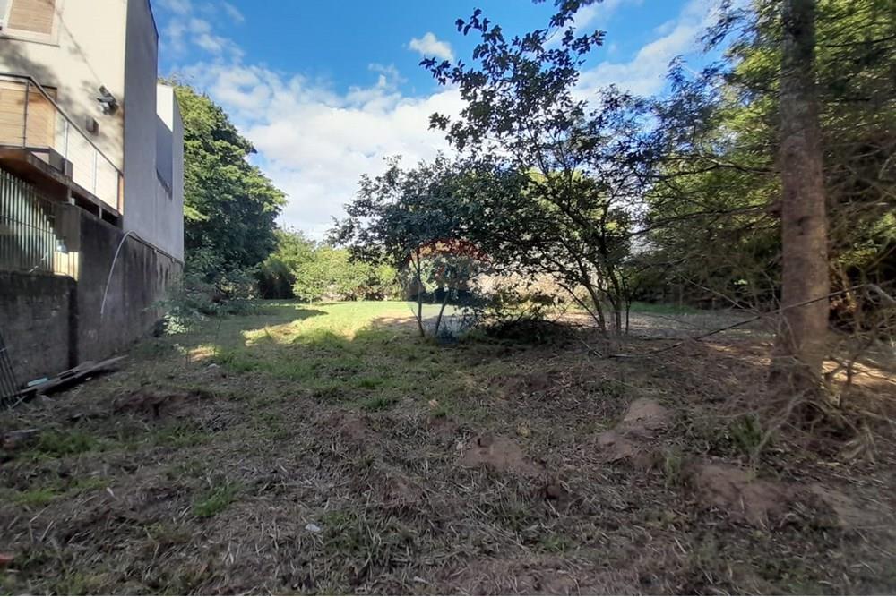 Terreno - Venda - Porto Alegre , Rio Grande do Sul - WhatsApp Image 2025-03-21 at 16.28.42 (1).jpeg - 612551005-104