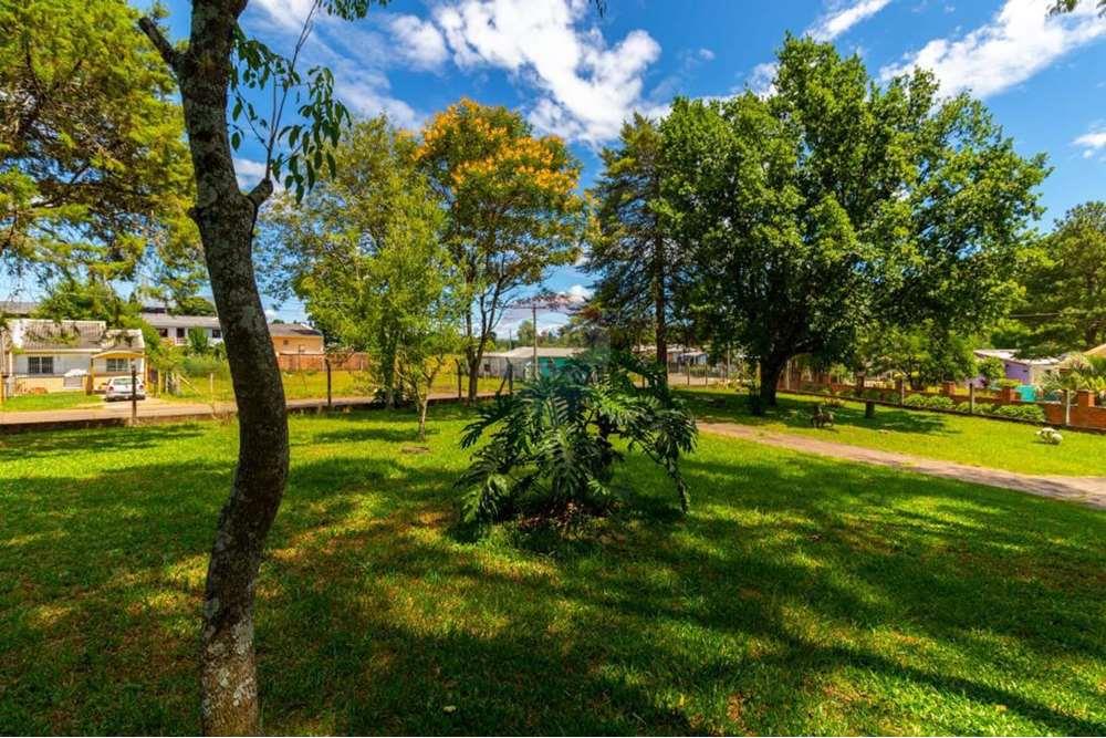 Casa - Alugar - Passo Fundo , Rio Grande do Sul - g13_6325_88911_1504_230623.jpeg - 610271045-1271