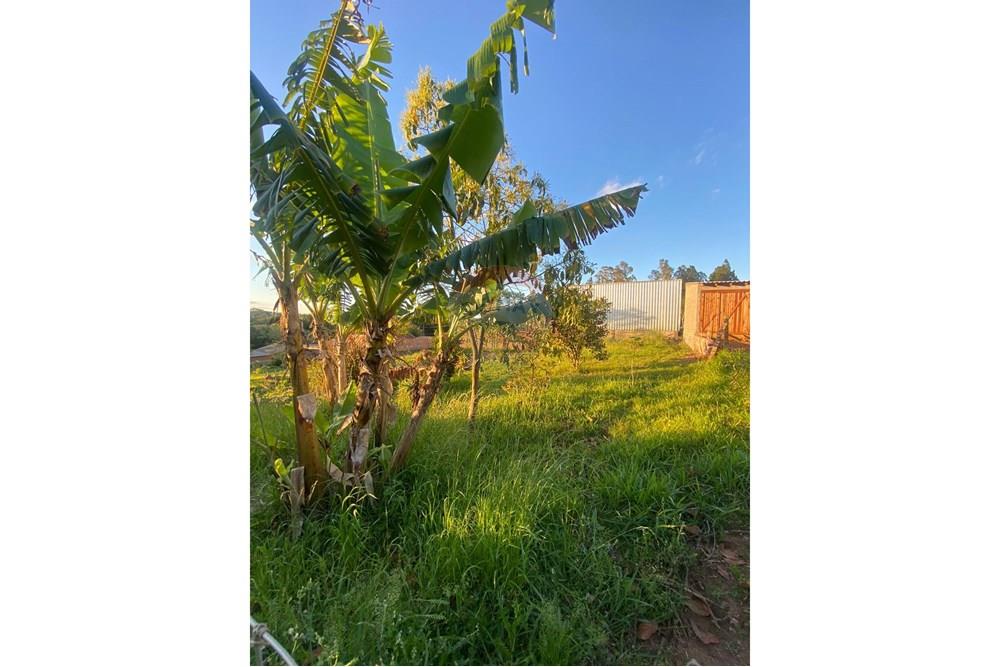 Casa - Venda - Viamão , Rio Grande do Sul - WhatsApp Image 2025-09-28 at 18.25.06.jpeg - 610141024-30