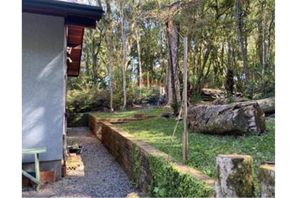 Casa - Venda - São Francisco de Paula , Rio Grande do Sul - IMG_5562_2.thumbnail.jpg - 610131051-6