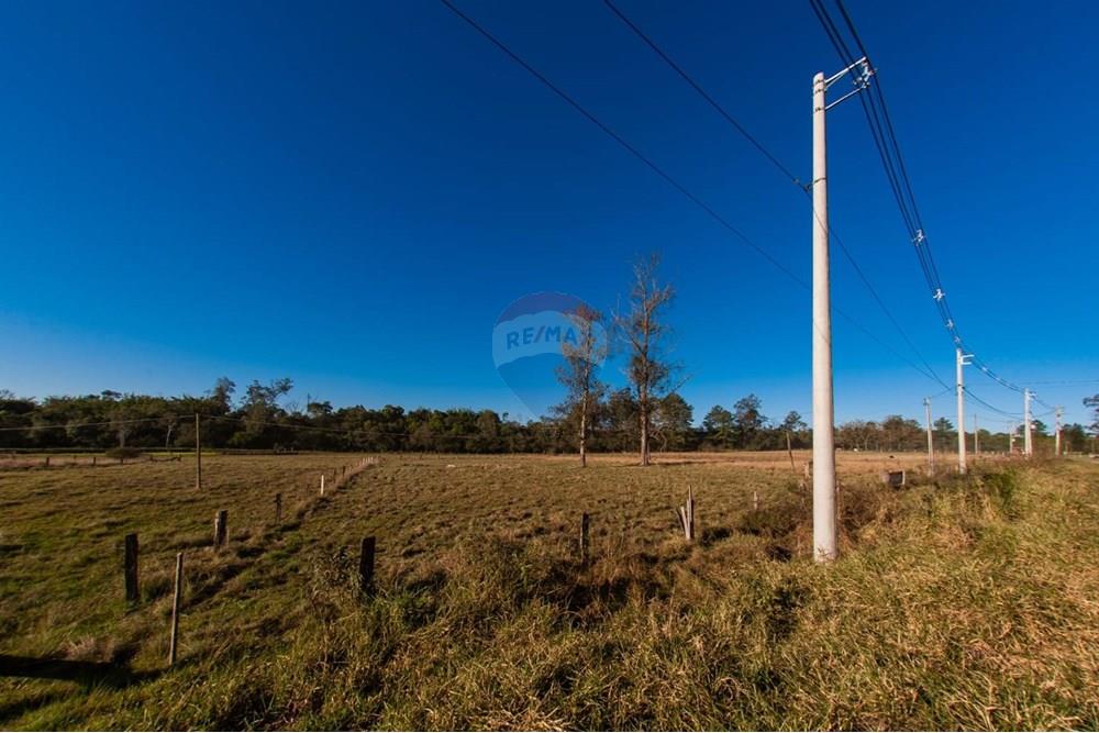 Terreno - Venda - Montenegro , Rio Grande do Sul - WhatsApp Image 2025-07-09 at 15.01.38 (1).jpeg - 610091003-65