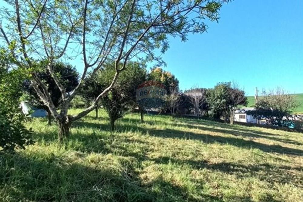 Terreno - Venda - Entre Rios do Sul , Rio Grande do Sul - WhatsApp Image 2025-09-10 at 00.59.26.jpeg - 610231035-3