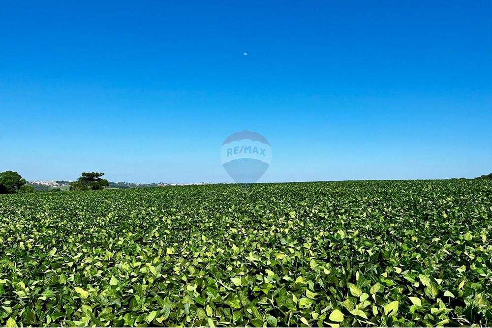 Chácara / Sítio / Fazenda - Venda - Não-Me-Toque , Rio Grande do Sul - WhatsApp Image 2025-01-20 at 20.17.56 (1).jpeg - 610271058-70