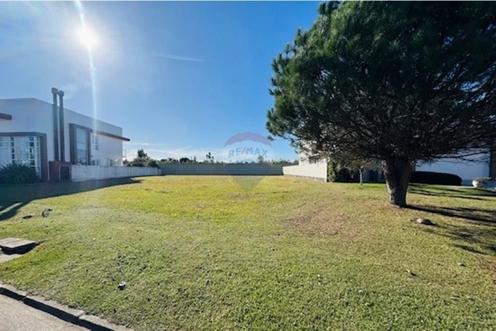 Terreno - Venda - Pelotas , Rio Grande do Sul - image2.jpeg - 610211057-10