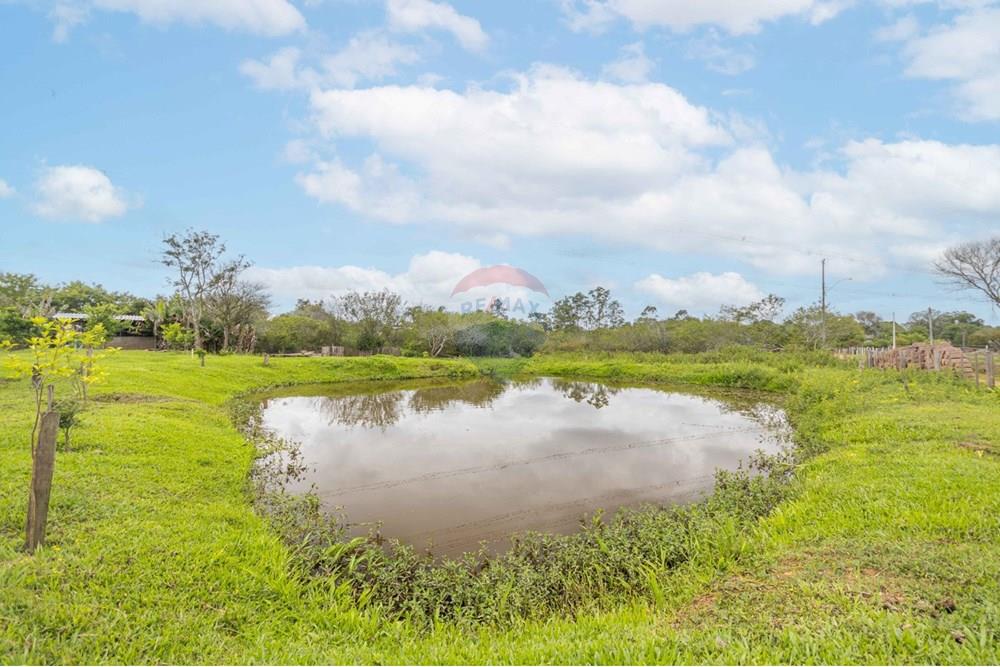 Chácara / Sítio / Fazenda - Venda - Gravataí , Rio Grande do Sul - WhatsApp Image 2025-05-26 at 18.45.24.jpeg - 610381108-10