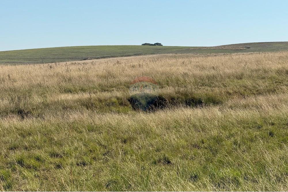 Chácara / Sítio / Fazenda - Venda - São Gabriel , Rio Grande do Sul - Imagem do WhatsApp de 2025-06-27 à(s) 23.50.19_c23363ad.jpg - 612631046-8