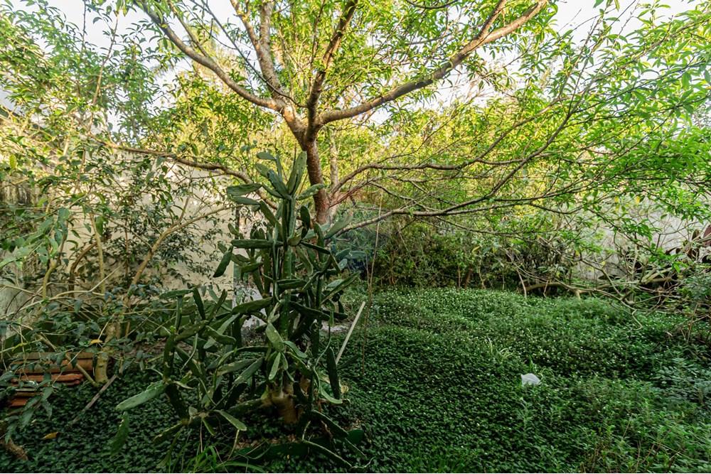 Casa - Venda - Pelotas , Rio Grande do Sul - Professor Araujo 1026-34.jpg - 610211043-31