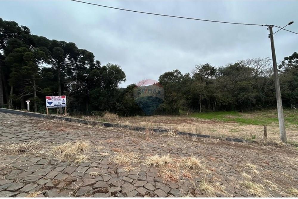 Terreno - Venda - Barão de Cotegipe , Rio Grande do Sul - WhatsApp Image 2025-08-09 at 14.36.30.jpeg - Fachada - 612761035-7