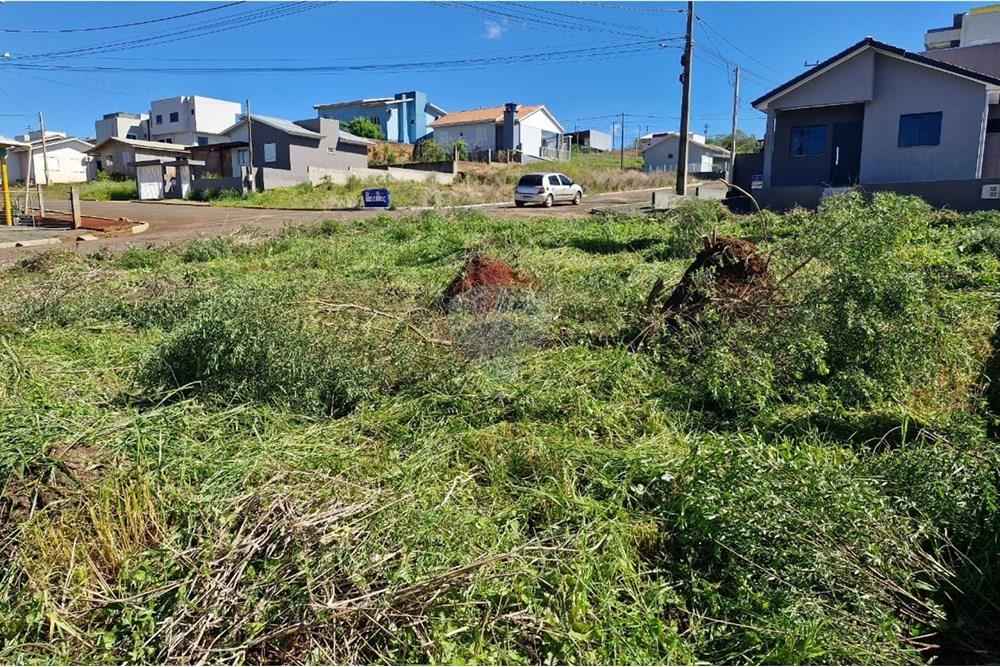 Terreno - Venda - Trindade do Sul , Rio Grande do Sul - IMG-20250923-WA0056.jpg - 610231029-120