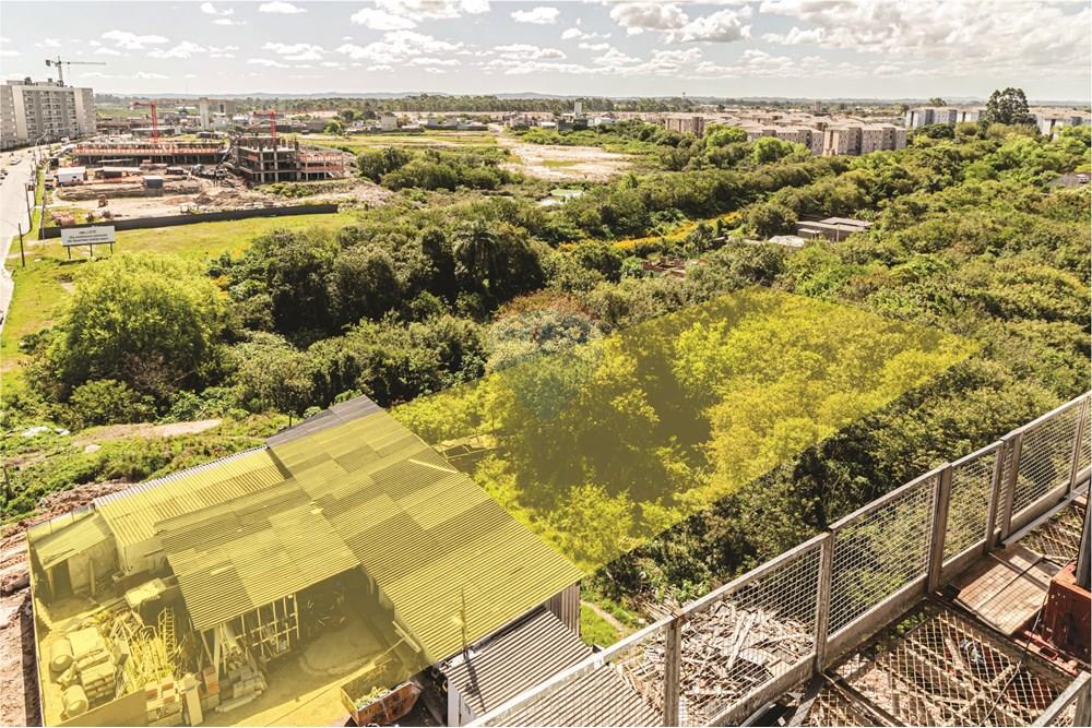Terreno - Venda - Pelotas , Rio Grande do Sul - Sem título-1.jpg - 610211001-124