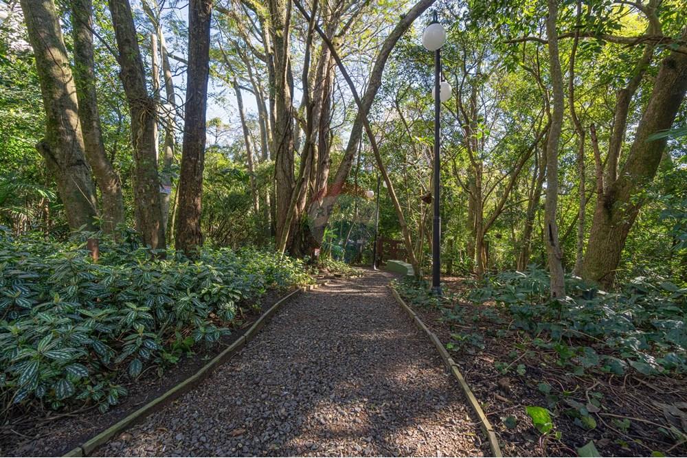 Apartamento - Venda - Porto Alegre , Rio Grande do Sul - DSC01683.jpg - 610371008-97