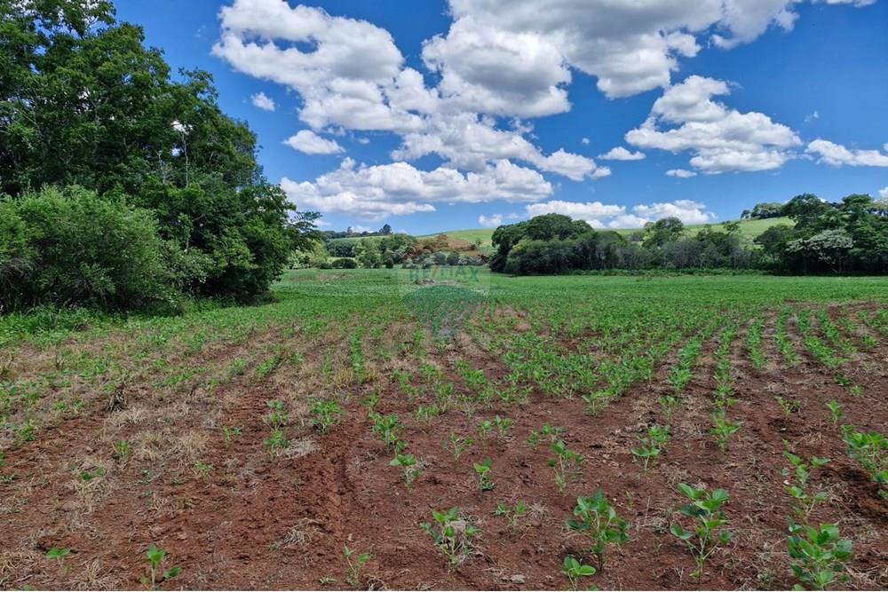 Chácara / Sítio / Fazenda - Venda - Nonoai , Rio Grande do Sul - IMG-20250107-WA0091.jpg - 610231004-83