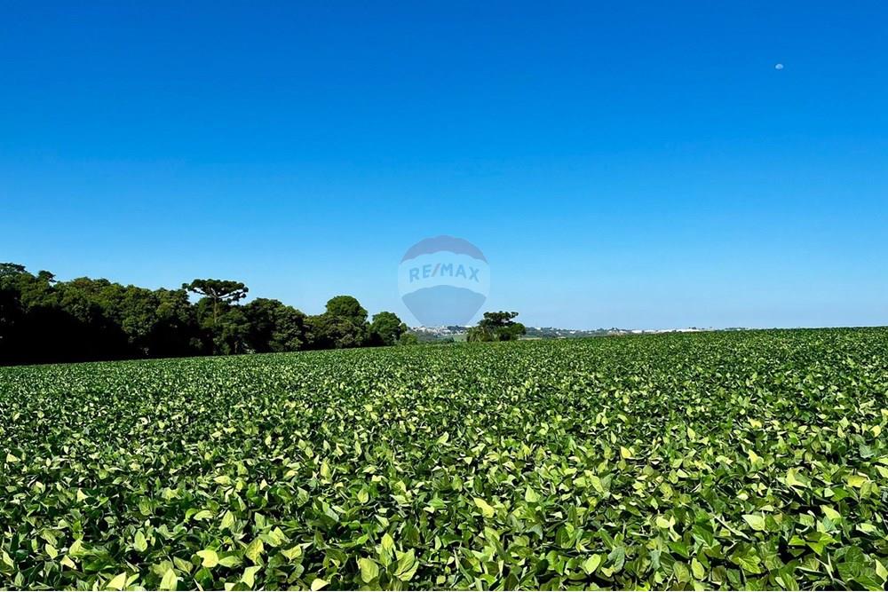 Chácara / Sítio / Fazenda - Venda - Não-Me-Toque , Rio Grande do Sul - WhatsApp Image 2025-01-20 at 20.18.00.jpeg - 610271058-70