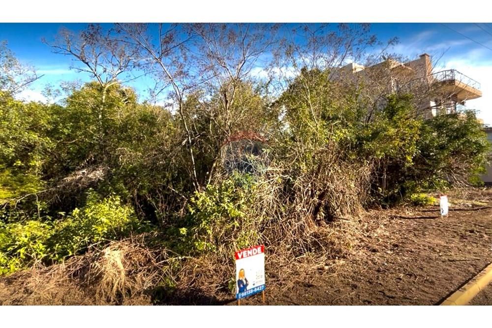 Terreno - Venda - Guaíba , Rio Grande do Sul - Imagem do WhatsApp de 2025-07-25 à(s) 19.59.58_8920b833.jpg - 612781019-5