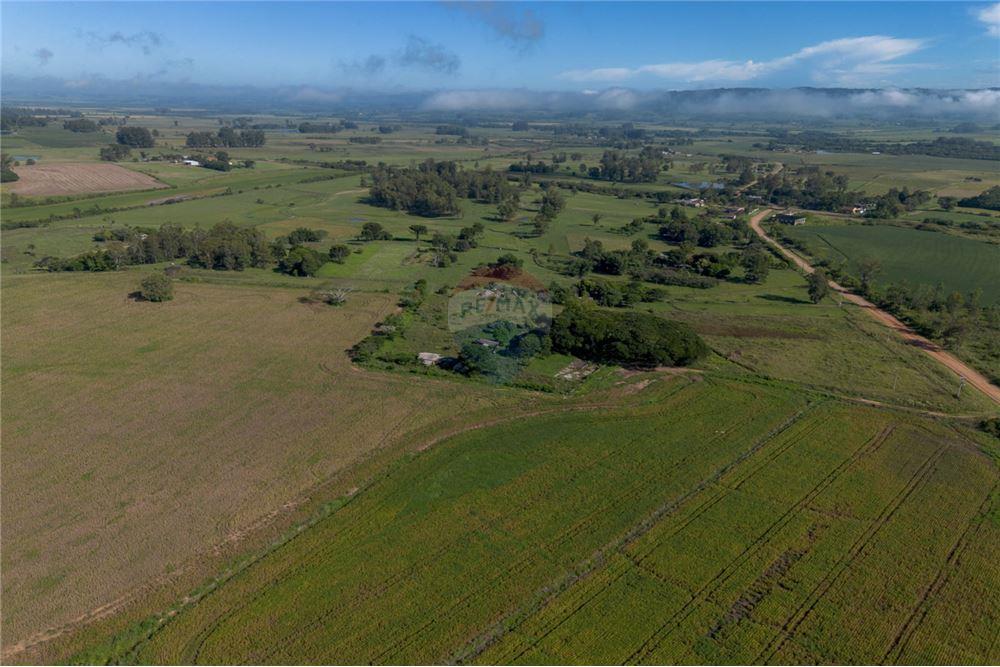 Chácara / Sítio / Fazenda - Venda - Santa Maria , Rio Grande do Sul - 10 - 610311056-76