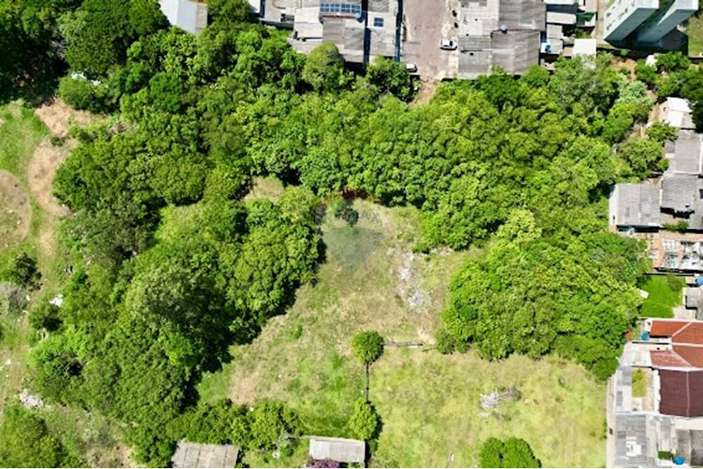 Terreno - Venda - Sapucaia do Sul , Rio Grande do Sul - IMG_9096.JPG - 610241017-80