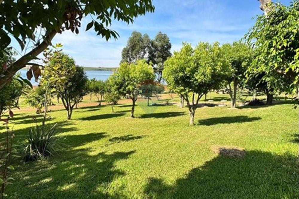 Terreno - Venda - Entre Rios do Sul , Rio Grande do Sul - WhatsApp Image 2025-08-19 at 17.37.37.jpeg - 610231035-3