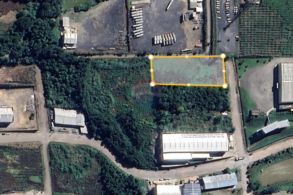 Terreno - Venda - Bento Gonçalves , Rio Grande do Sul - Captura de tela 2025-07-24 173732.jpg - 610331026-49