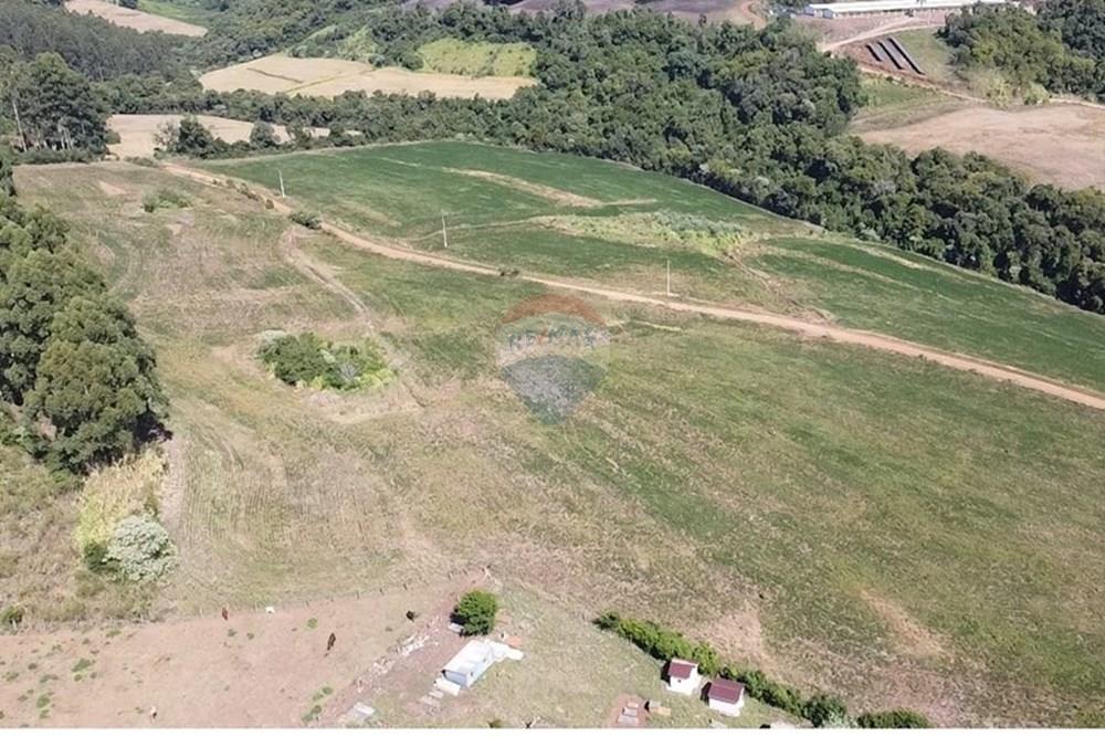 Chácara / Sítio / Fazenda - Venda - Trindade do Sul , Rio Grande do Sul - IMG-20250325-WA0067.jpg - 610231004-88