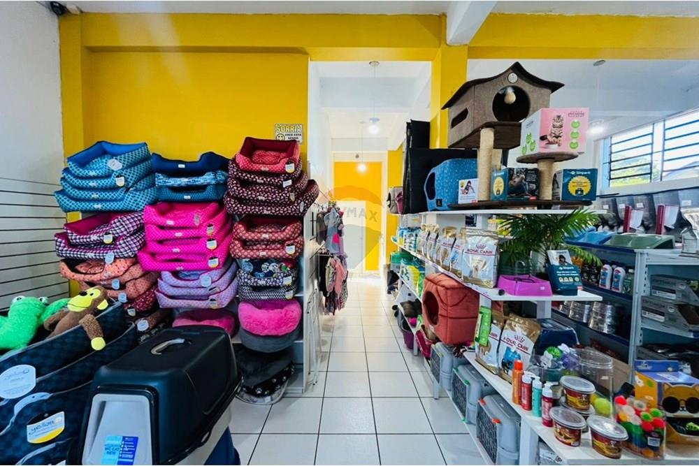 Cj. Comercial/ Sala - Venda - Erechim , Rio Grande do Sul - WhatsApp Image 2025-10-23 at 11.10.09 (1).jpeg - 612761037-36