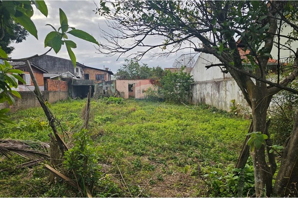 Terreno - Venda - Sapucaia do Sul , Rio Grande do Sul - WhatsApp Image 2025-09-06 at 08.57.06.jpeg - 612561001-379