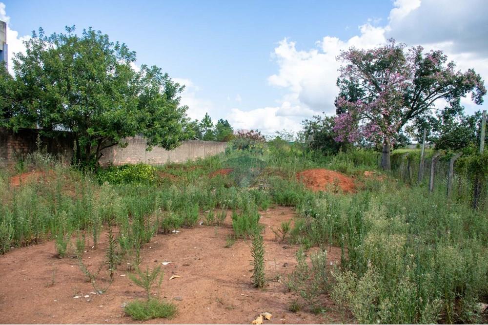 Industrial - Venda - Cachoeirinha , Rio Grande do Sul - WhatsApp Image 2025-02-14 at 16.49.24 (1).jpeg - 612551005-101