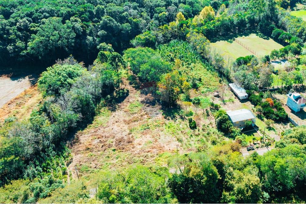 Chácara / Sítio / Fazenda - Venda - Erechim , Rio Grande do Sul - WhatsApp Image 2025-06-11 at 09.09.51.jpeg - 612761010-43