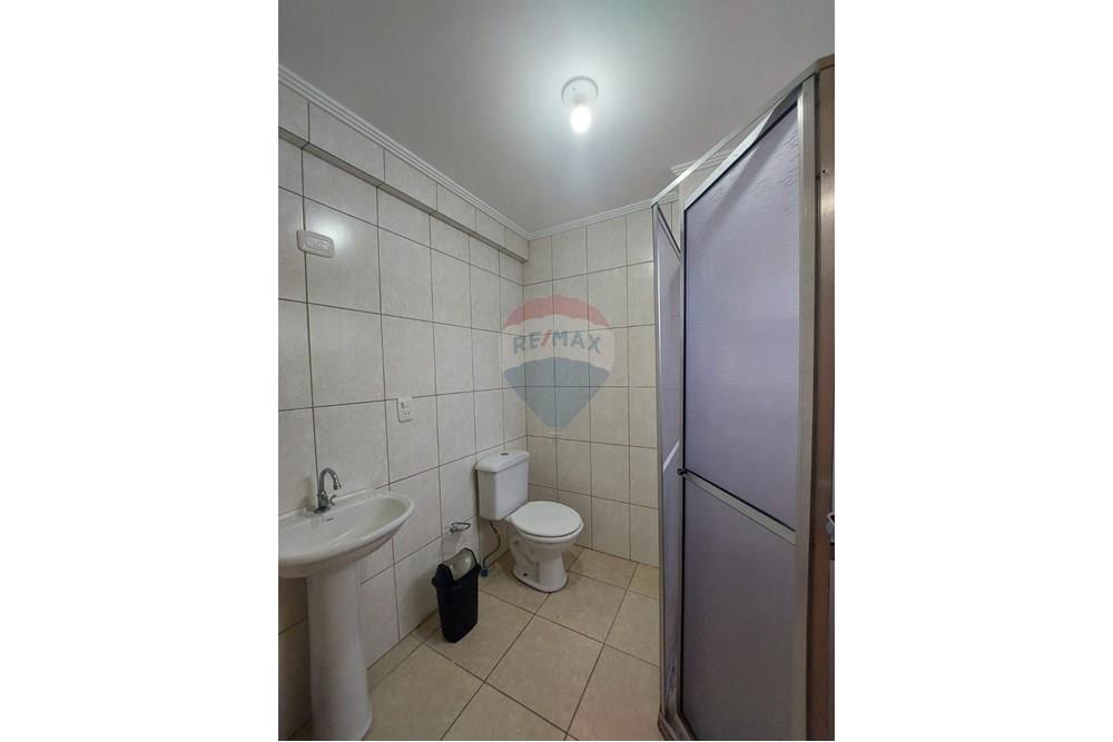 Studio - Alugar - Passo Fundo , Rio Grande do Sul - WhatsApp Image 2024-07-16 at 10.46.48 (1).jpeg - 610271045-1371