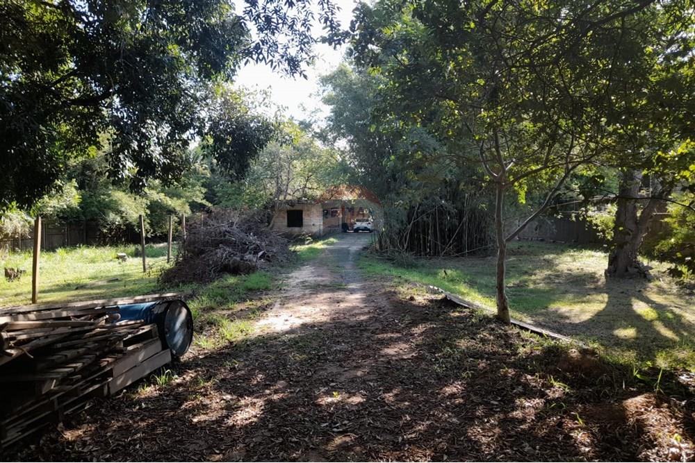 Terreno - Venda - Porto Alegre , Rio Grande do Sul - WhatsApp Image 2025-03-21 at 16.28.45 (2).jpeg - 612551005-104