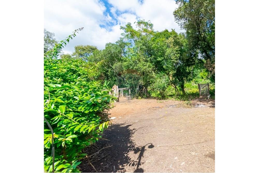 Chácara / Sítio / Fazenda - Venda - Gravataí , Rio Grande do Sul - WhatsApp Image 2025-05-20 at 09.57.55.jpeg - 610381108-9