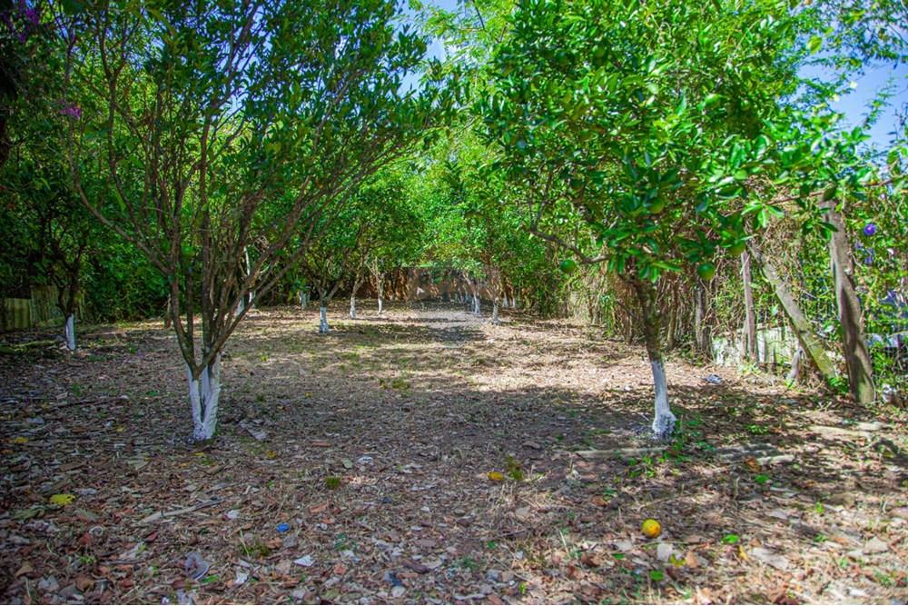 Prédio - Venda - Alvorada , Rio Grande do Sul - WhatsApp Image 2025-02-09 at 17.24.29.jpeg - 612531055-5