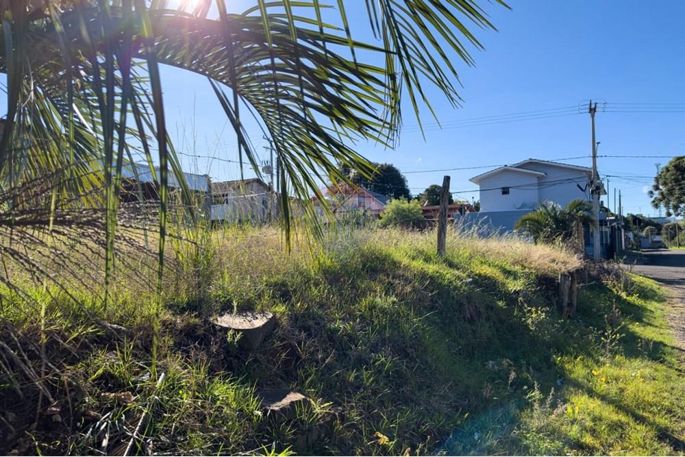 Terreno - Venda - Lagoa Vermelha , Rio Grande do Sul - WhatsApp Image 2025-05-20 at 09.47.01.jpeg - 610111005-240