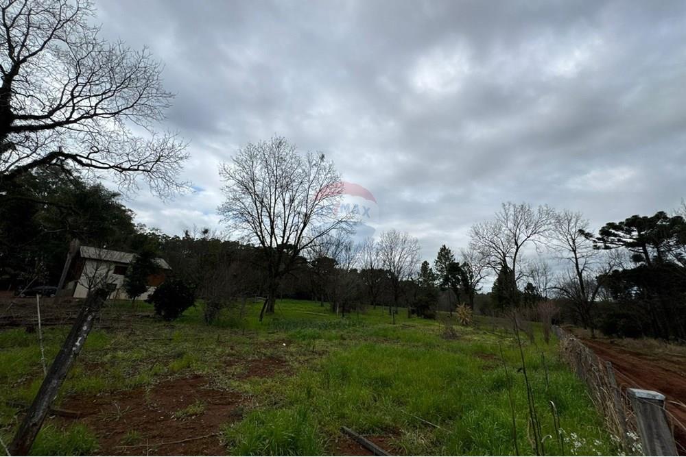 Chácara / Sítio / Fazenda - Venda - Sarandi , Rio Grande do Sul - WhatsApp Image 2025-07-25 at 11.40.16.jpeg - 610341006-389
