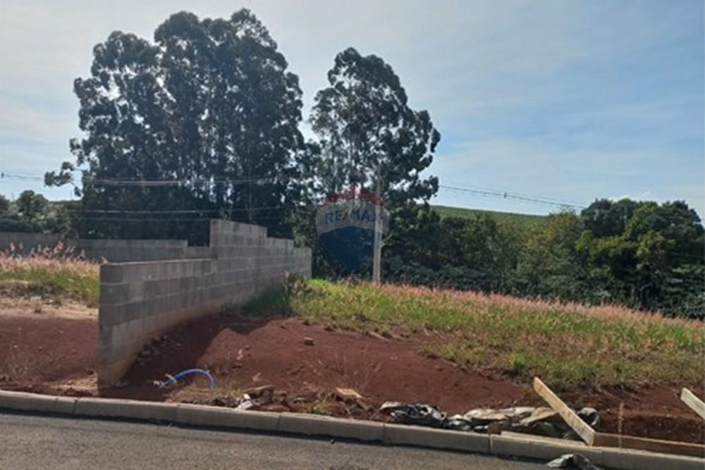 Terreno - Venda - Trindade do Sul , Rio Grande do Sul - WhatsApp Image 2025-09-17 at 15.43.28 (2).jpeg - 610231026-17