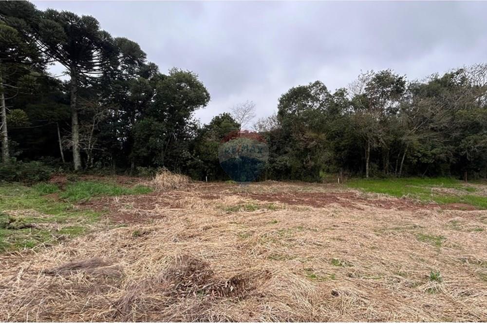 Terreno - Venda - Barão de Cotegipe , Rio Grande do Sul - WhatsApp Image 2025-08-09 at 14.36.36.jpeg - Fachada - 612761035-7