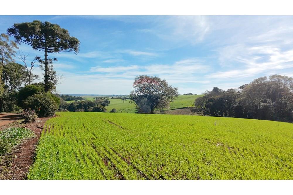 Chácara / Sítio / Fazenda - Venda - Nonoai , Rio Grande do Sul - 1000606558.jpg - 610231010-128