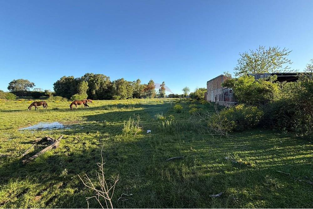 Terreno - Venda - São Gabriel , Rio Grande do Sul - Imagem do WhatsApp de 2025-10-16 à(s) 14.42.37_0fd6e083.jpg - 612631024-78