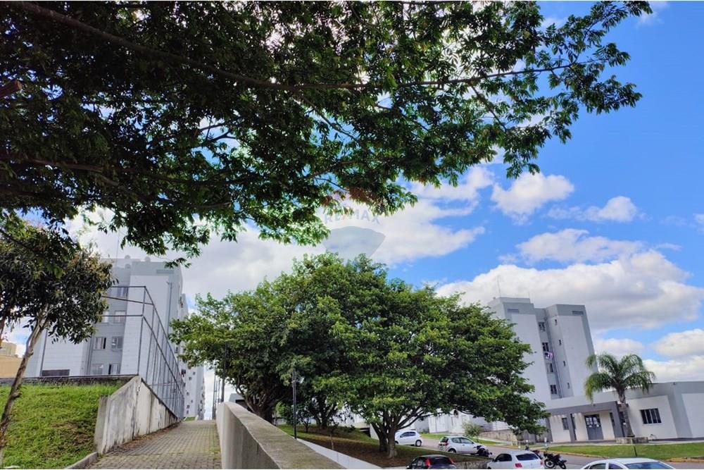 Apartamento - Venda - Santa Maria , Rio Grande do Sul - 230a5e21-4277-4845-b242-0c12f28116f3.jpg - 610471020-3