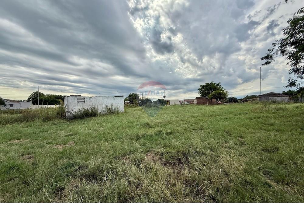 Chácara / Sítio / Fazenda - Venda - São Gabriel , Rio Grande do Sul - Imagem do WhatsApp de 2025-02-26 à(s) 22.07.23_ba493932.jpg - 612631046-2