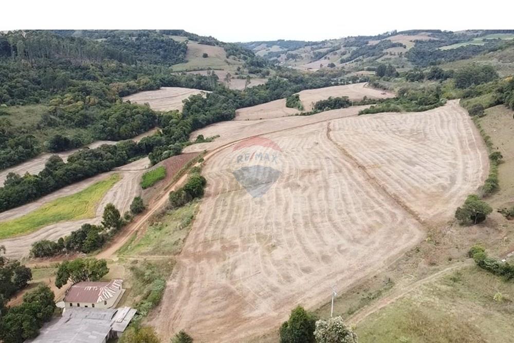 Chácara / Sítio / Fazenda - Venda - Trindade do Sul , Rio Grande do Sul - IMG-20250325-WA0056.jpg - 610231004-88