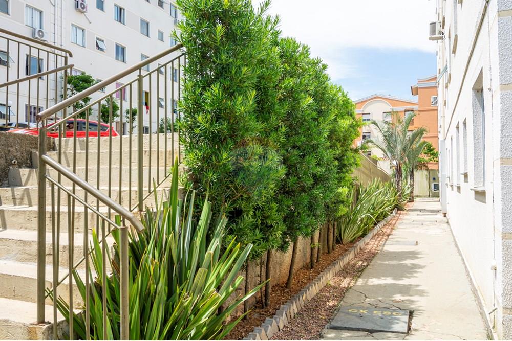 Apartamento - Venda - Gravataí , Rio Grande do Sul - _DSC3547.jpg - 610161083-5