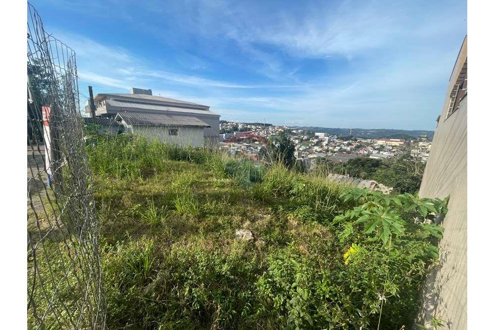 Terreno - Venda - Bento Gonçalves , Rio Grande do Sul - WhatsApp Image 2024-04-27 at 14.25.01.jpeg - 610331008-87