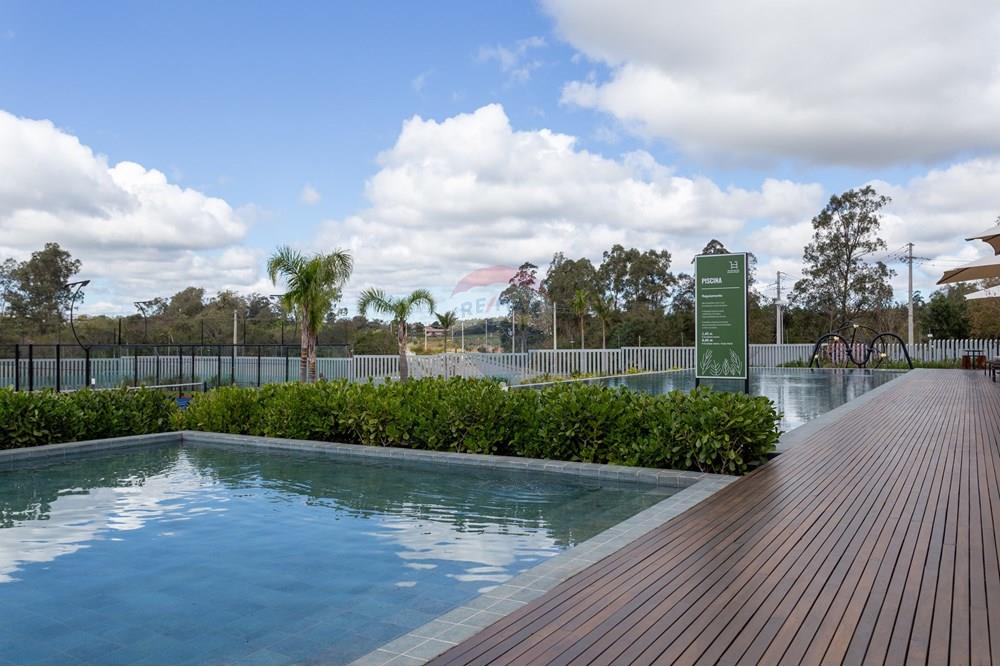 Terreno - Venda - Santa Maria , Rio Grande do Sul - IMG_6817.jpg - 610311051-85