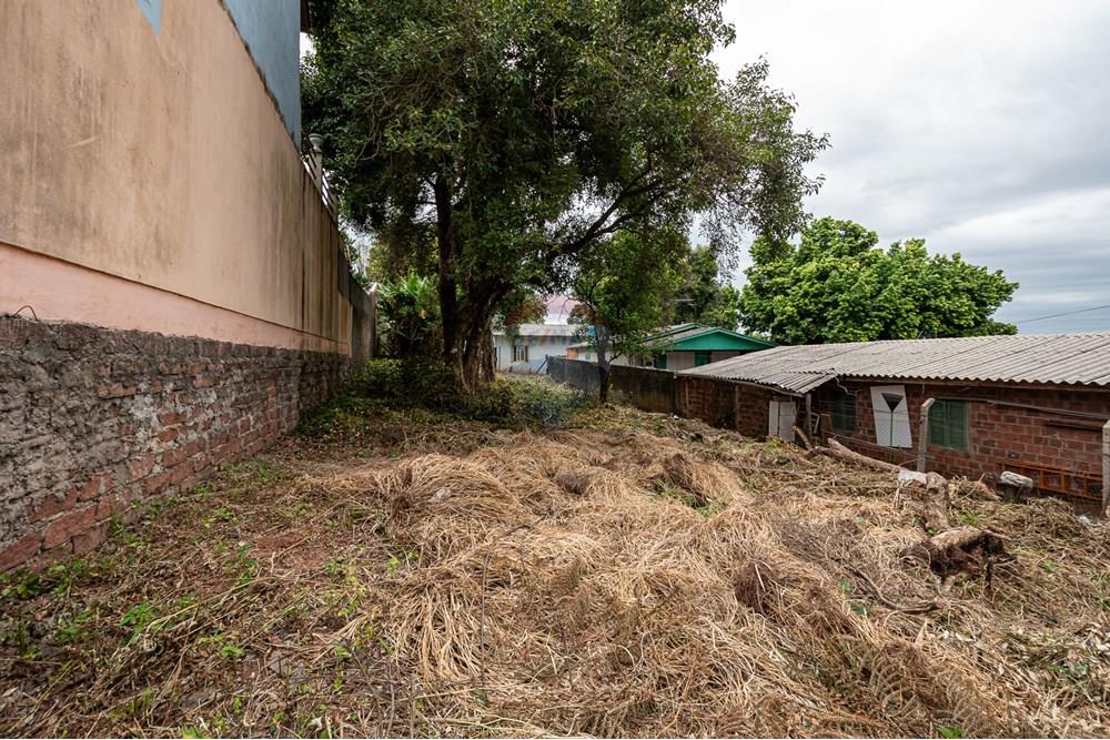 Terreno - Venda - Novo Hamburgo , Rio Grande do Sul - DSC_8195.jpg - 610261045-3