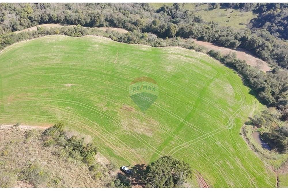 Chácara / Sítio / Fazenda - Venda - Trindade do Sul , Rio Grande do Sul - IMG-20250814-WA0077.jpg - 610231004-94