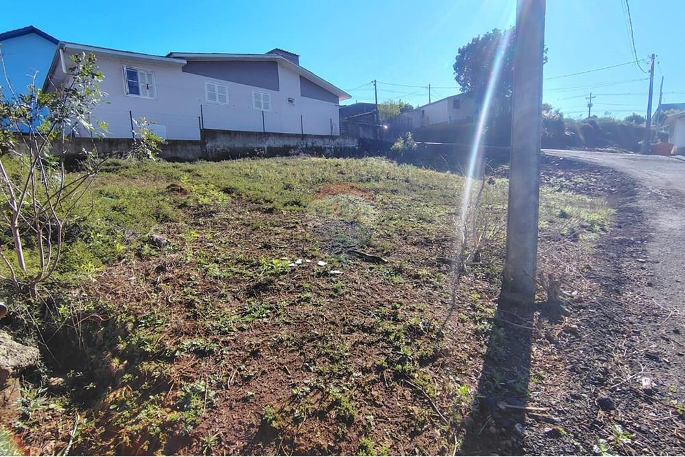 Terreno - Venda - Ronda Alta , Rio Grande do Sul - foto5.jpeg - 610231034-6