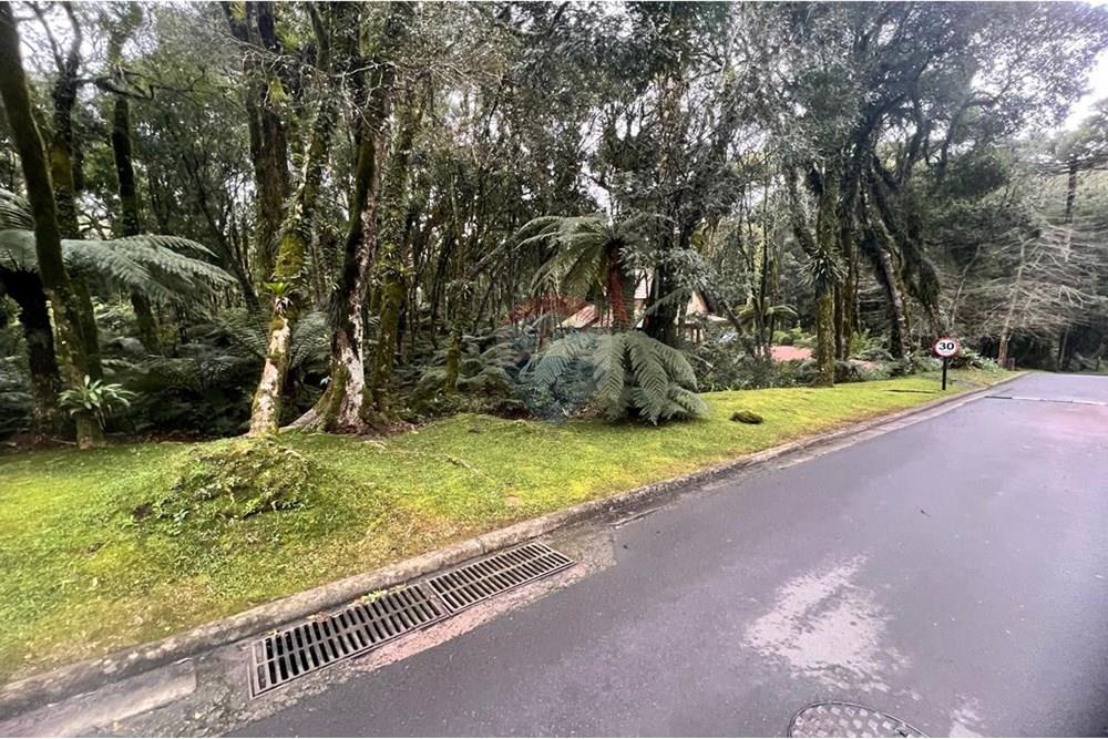 Terreno - Venda - Gramado , Rio Grande do Sul - WhatsApp Image 2024-12-12 at 06.37.30 (5).jpeg - 610131034-40