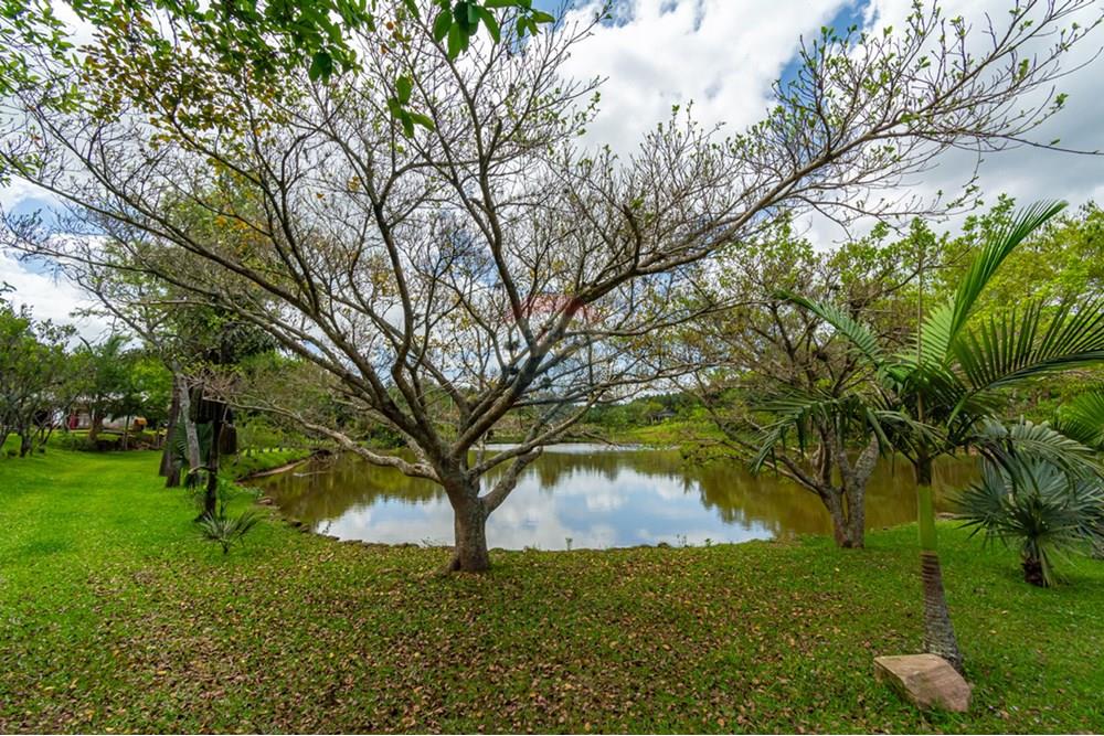 Terreno - Venda - Gravataí , Rio Grande do Sul - _DSC4954.jpg - 610161057-39